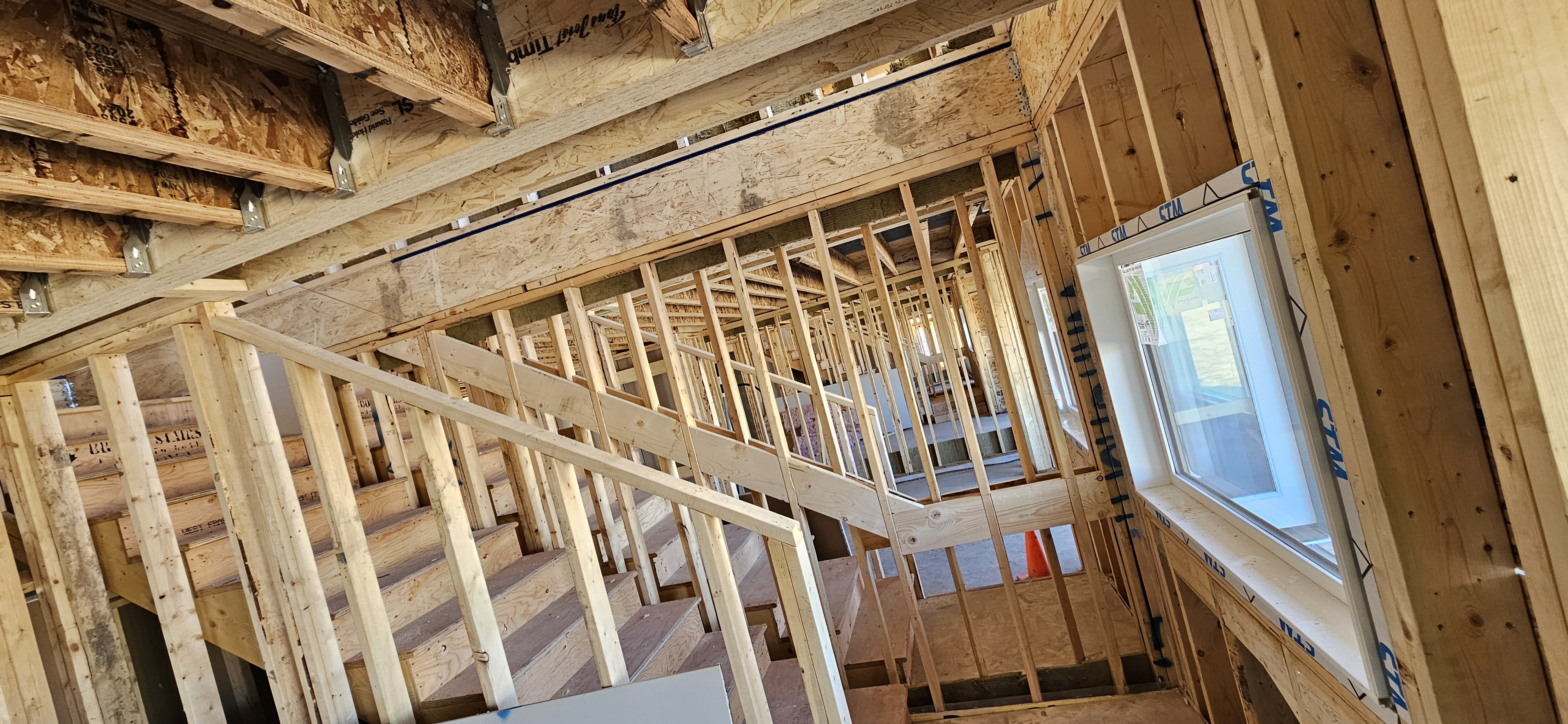 Whitehorn showcase 6