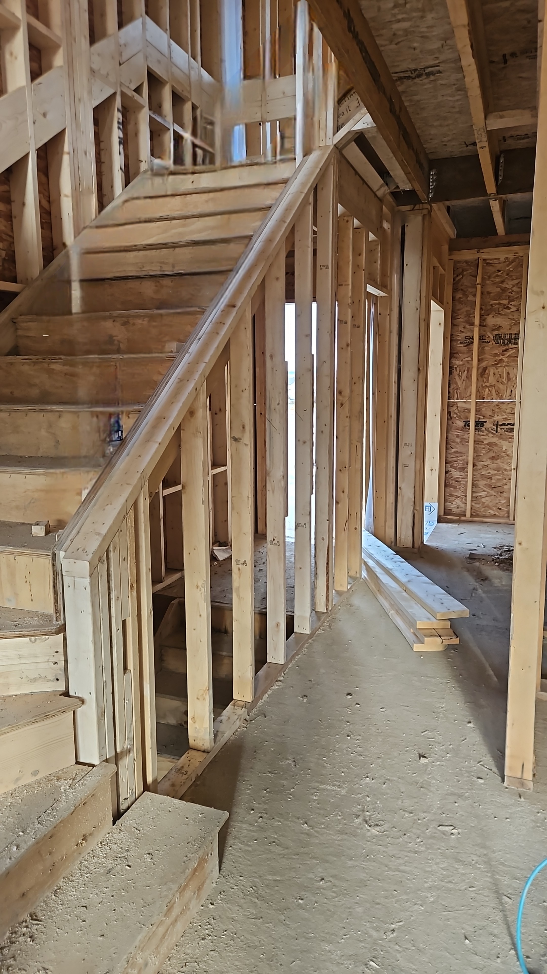 Back Framing showcase 11