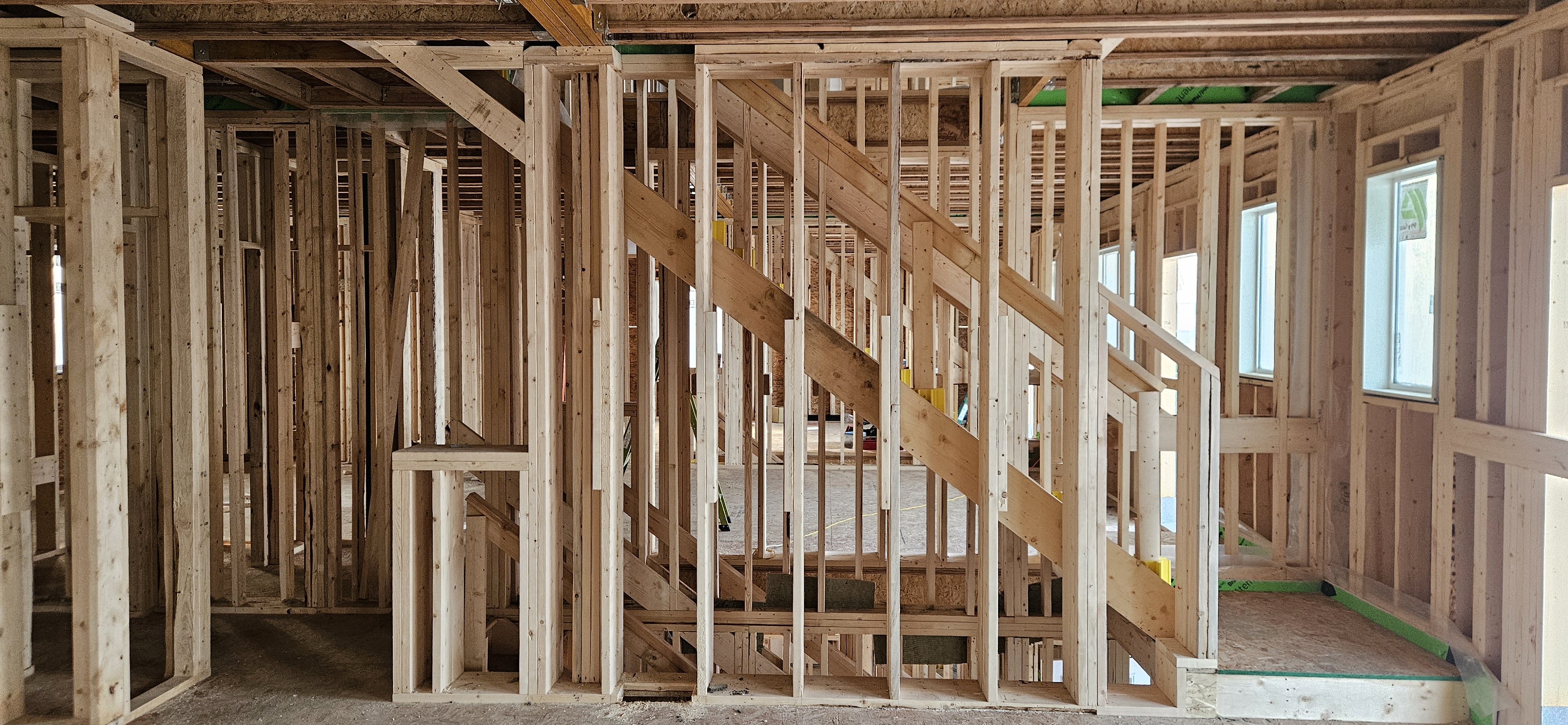 Back Framing showcase 15