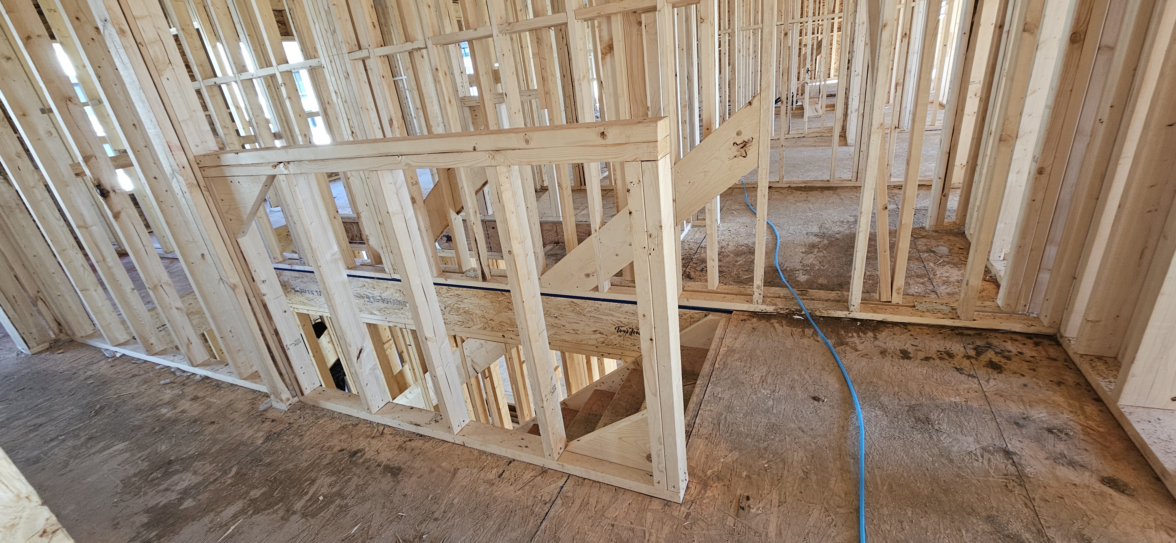 Back Framing showcase 16