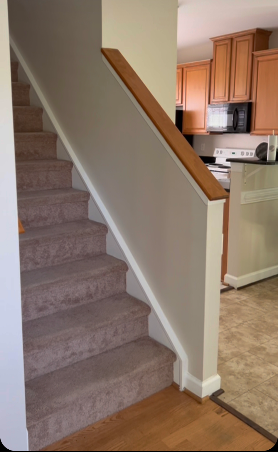 Back Framing showcase 19