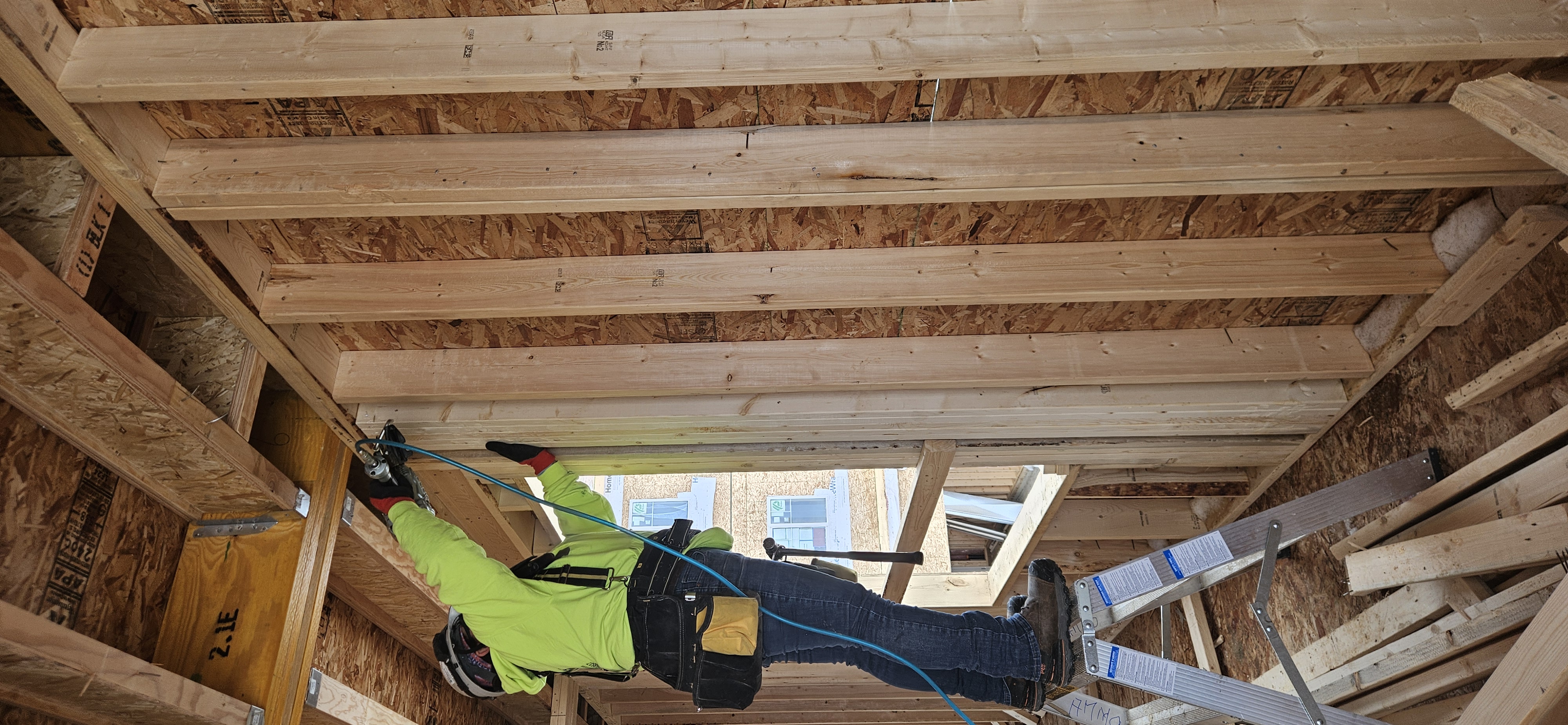 Back Framing showcase 21