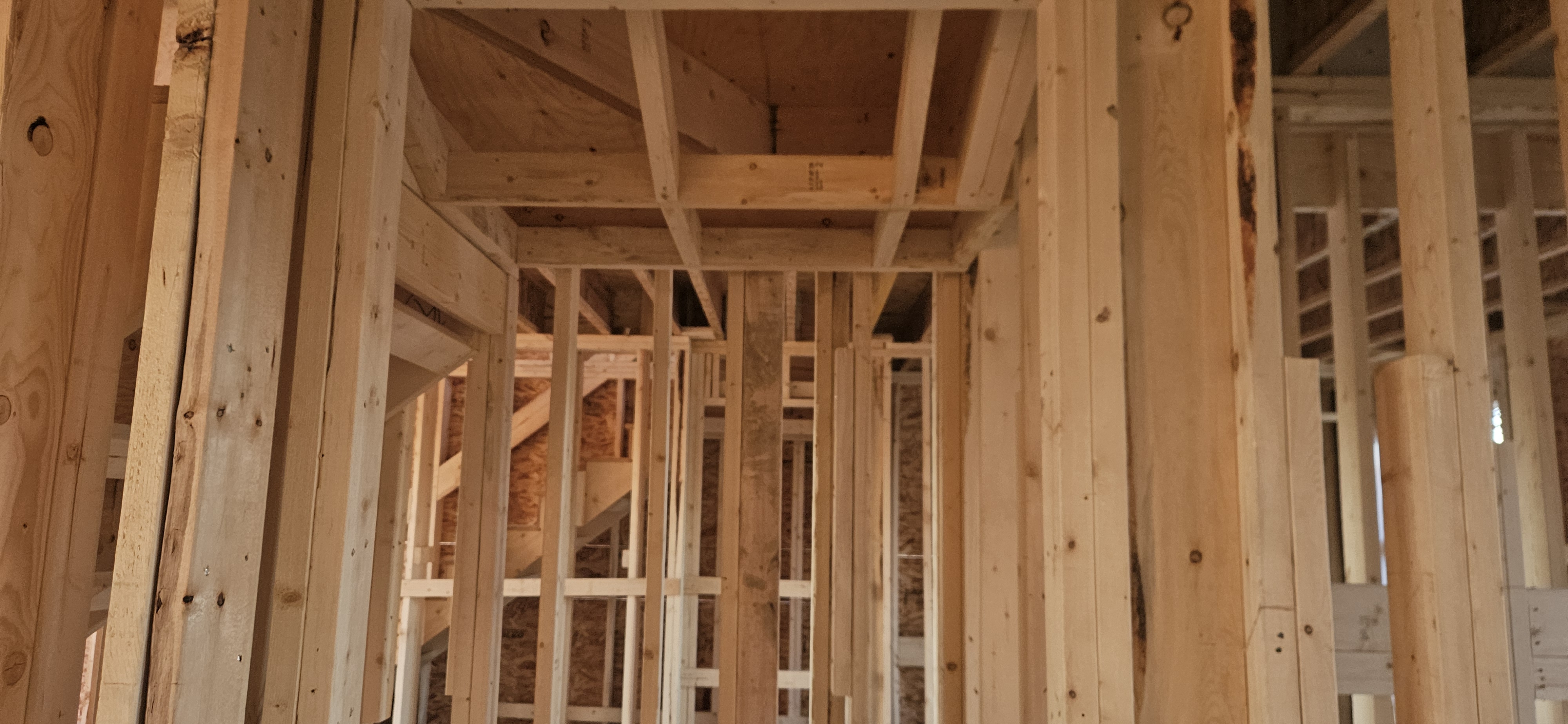 Back Framing showcase 31