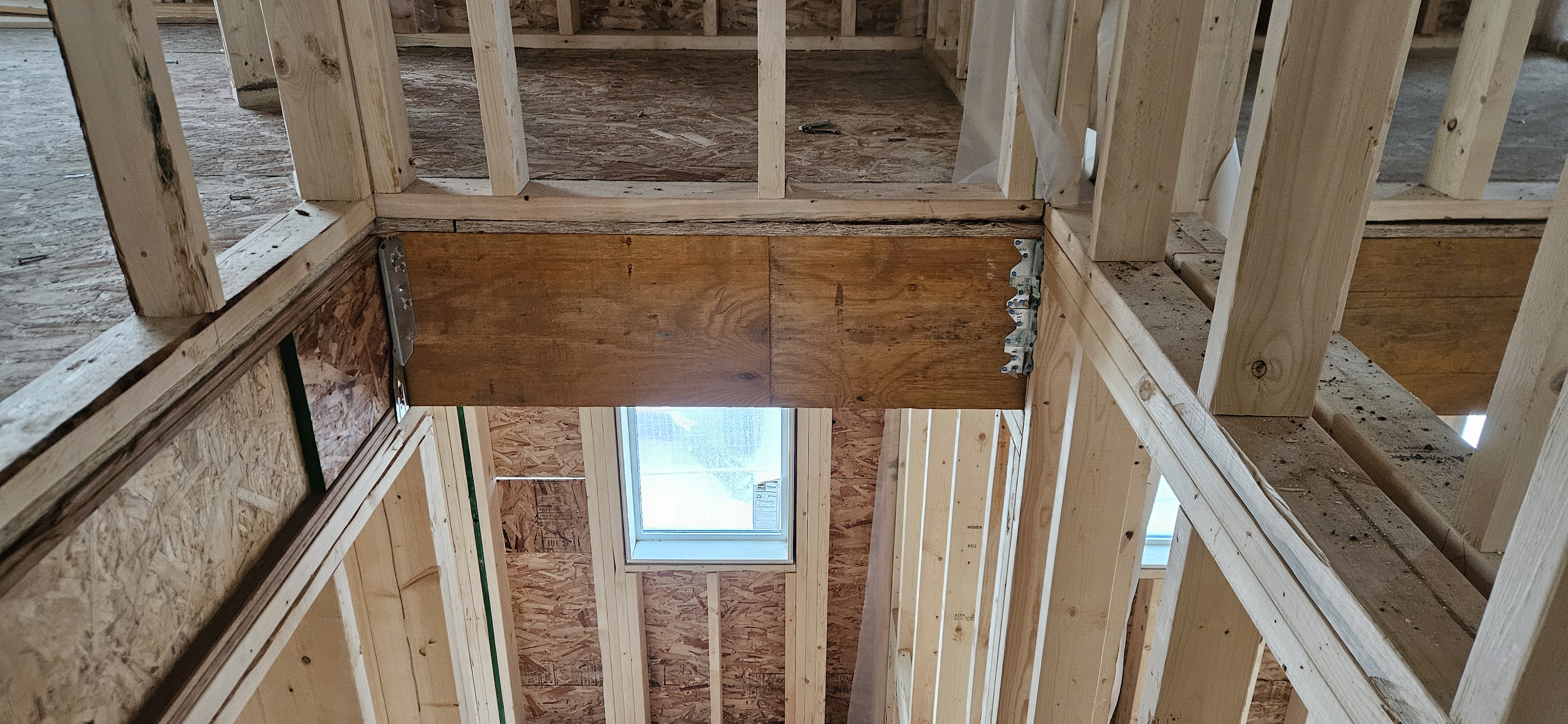 Back Framing showcase 51